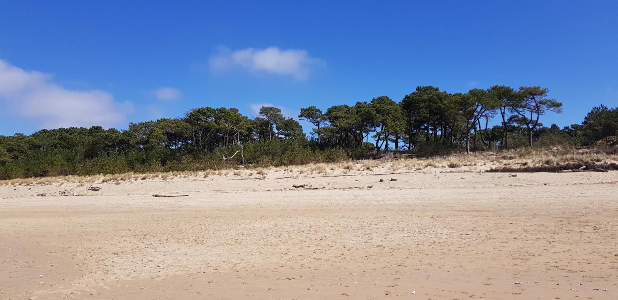 Les Rochers De Vallieres, Appartement De 35 M2 Avec 1 Chambre, Terrasses, Jardin 140 M2, Vue Panoramique Face A L'Ocean ! Saint-Georges-de-Didonne Esterno foto